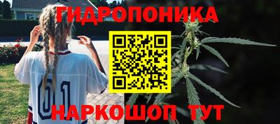 винт Дубна