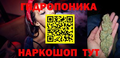 винт Дубна