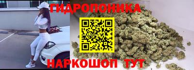 винт Дубна