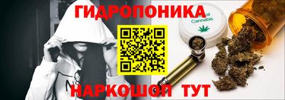 шишки Донской